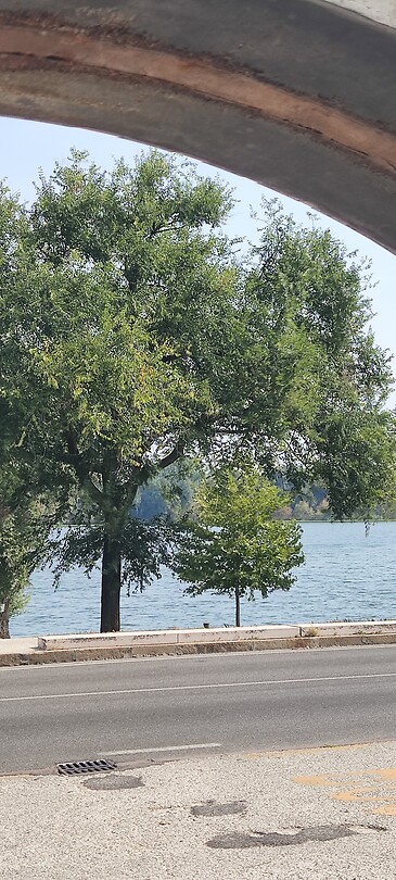Omliggend meer van Mantova