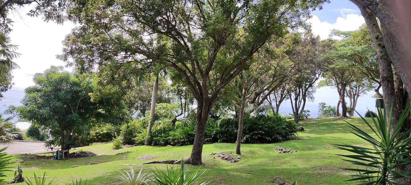 Een park