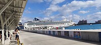 De Norwegian Gem