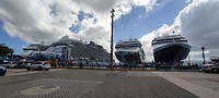 4 grote cruiseschepen op een rijtje