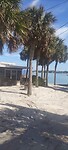 Het strand bij Sarasota. The Longboat Key