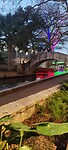 River Walk San Antonio