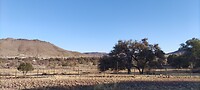 Davis Mountains State Park