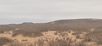 De weidsheid van het zuiden van New Mexico
