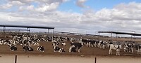 IMG_20250214_134315