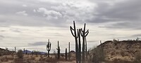 Onderweg weer de prachtige natuur; bergen, cactussen, woestijn.