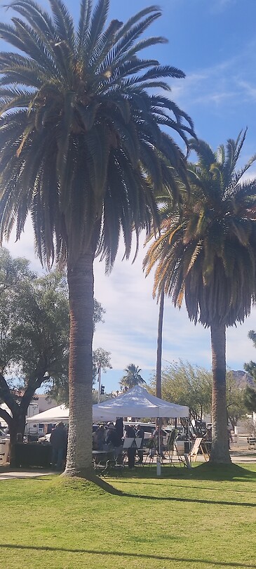 Plein in Ajo