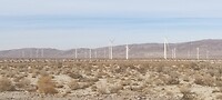Heel veel windmolens