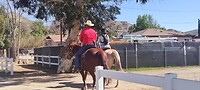 2 Cowboy 's in Norco