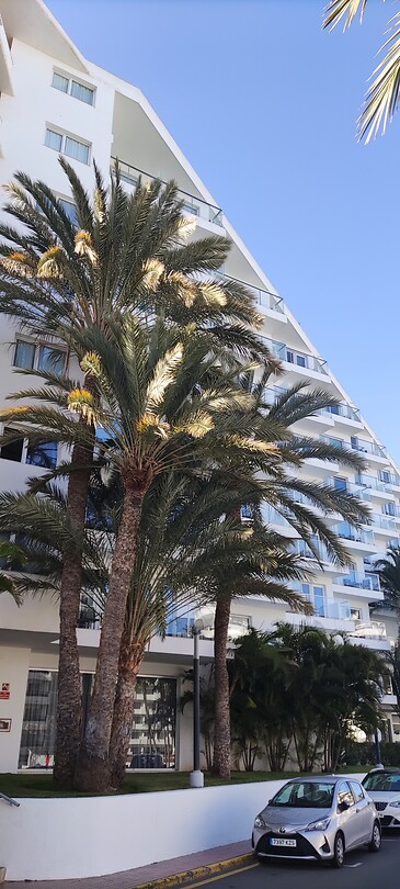 Riu