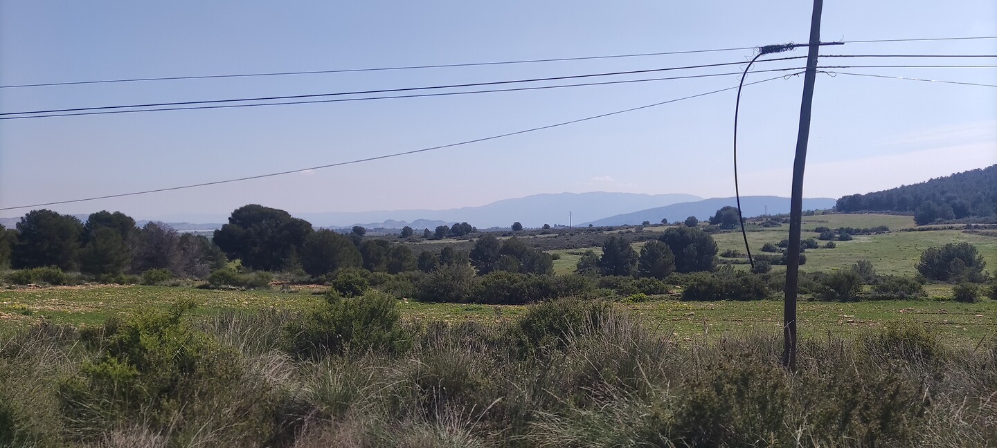 Tussen de bergen, bijna een alpenweide.
