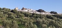 Nog 1x Olvera