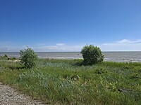 Aan de kust,  Baltische zee