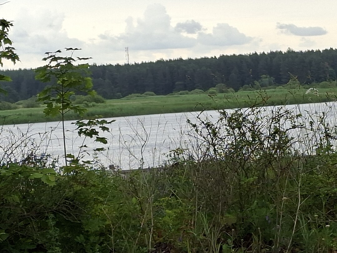 De Narva rivier,  aan de overkant Rusland