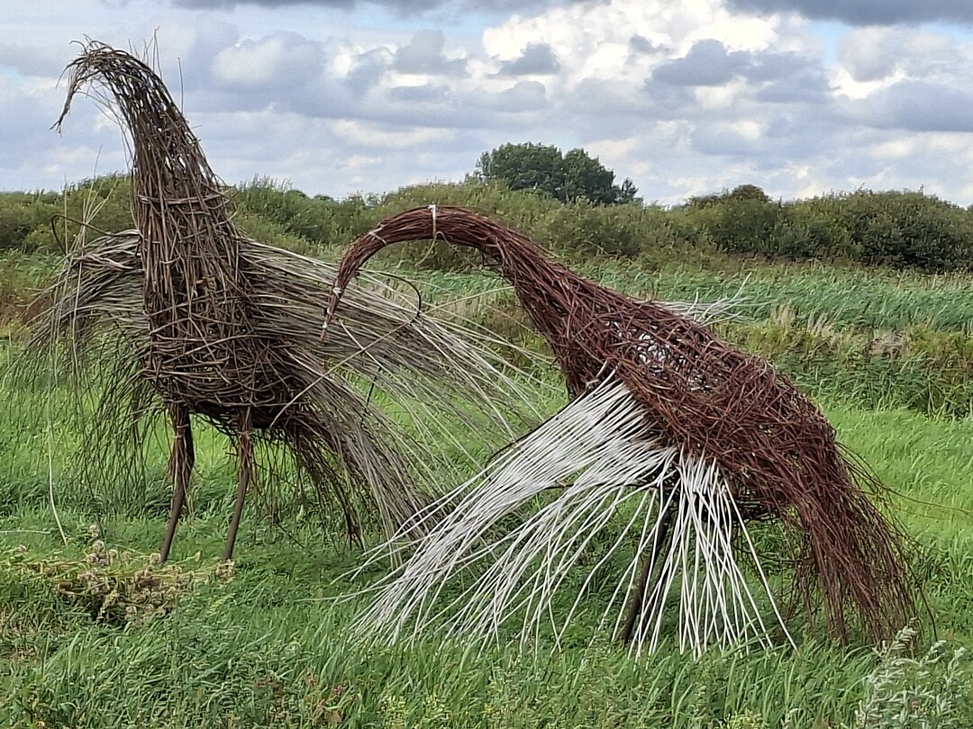 Kunst in de berm 😍