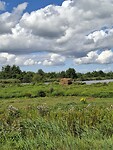 Natuurgebied Alde Feanen