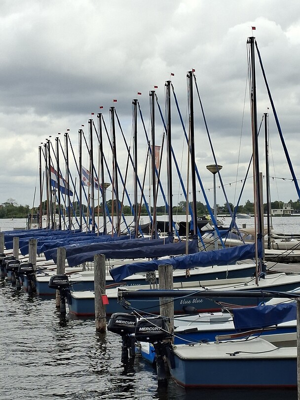 Zeilbootjes aan het Pikmeer