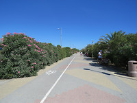 Langs de zee