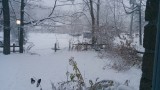 Uitzicht vanuit het huis