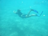 Snorkelen onder water