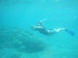 Snorkelen onder water