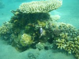 Onder water