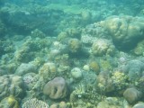Onder water