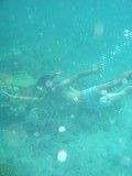 Maikel onder water