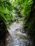 Jungle time