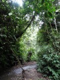 DSC05167