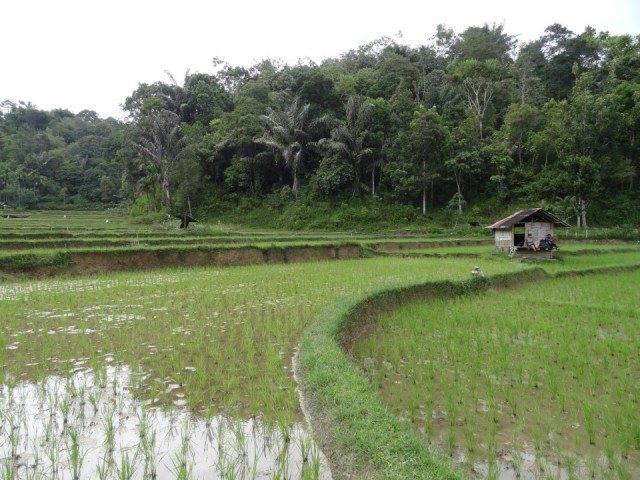 DSC05174
