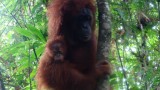 Beautiful!