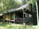 Our little jungle stay in Tangkahan
