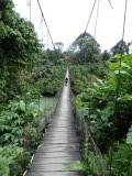 DSC06061