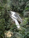 DSC06335