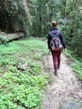 Walking trough the Camaron Highlands