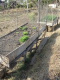 Moestuintje