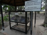Killing fields