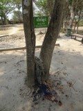 Boom Killing fields