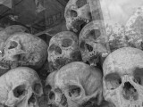 Killing fields