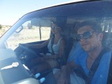 Up to Darwin