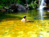 Waterval