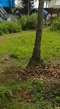 VID-20170914-WA0009