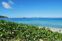 Matamanoa Island