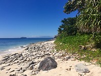 Matamanoa Island