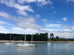 Mapua Bay