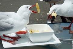 Een bakje patat voor twee