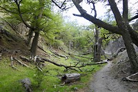 Hike De los Tres