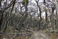 Hike De los Tres