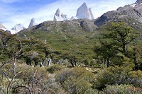 Hike De los Tres